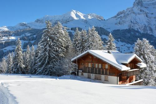 Chalet Meiseli in Adelboden, Schweiz