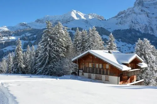 Chalet Meiseli in Adelboden, Schweiz