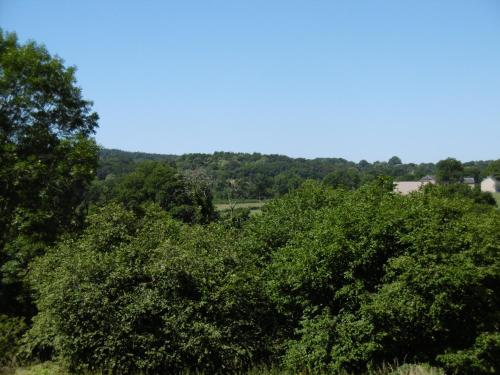 สภาพแวดล้อมโดยรอบ, Sylvia's house - upstairs flat in ฌาร์นัก