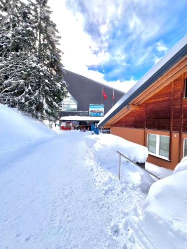 Tarbey - Studio au départ du télécabine Torrent, Leukerbad (fotografie 11)