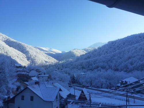 STD Cvetković (STD Cvetkovic) in Crni Vrh