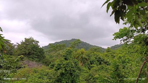 Hostal El Eden Dentro del Parque Tayrona