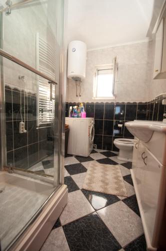 One-Bedroom Apartment room in Milic Apartmant with parking