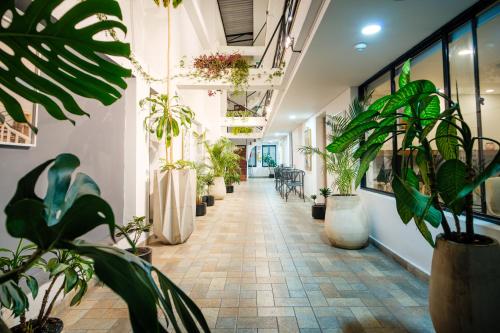 Palermo Home Bogota & Art Gallery_2_image