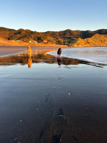 Funky west coast escape in Lake Puketi