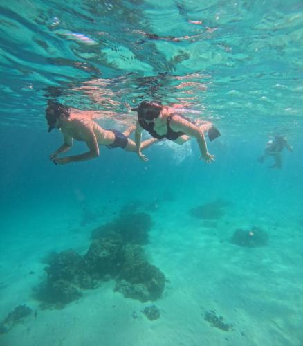 Sport és szabadidő, Umah Kayu 2-Menjangan Homestay in Menjangan