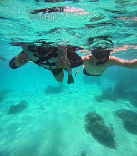 Sport és szabadidő, Umah Kayu 2-Menjangan Homestay in Menjangan