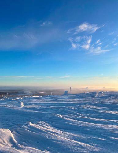 Villa Karhuntähti (Villa Karhuntahti) in 索丹克萊