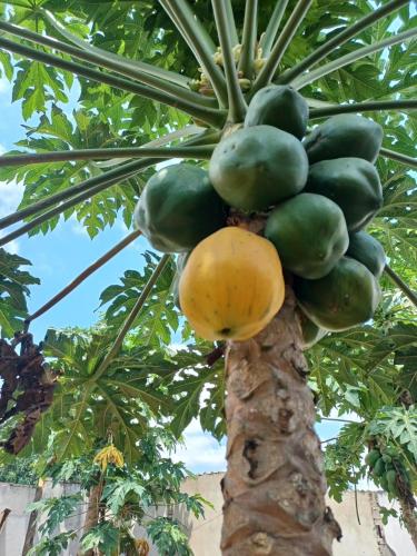 A Tranquil Stay A Tranquil Stay