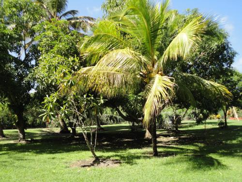 View, Residence de la Baie in Le Moule