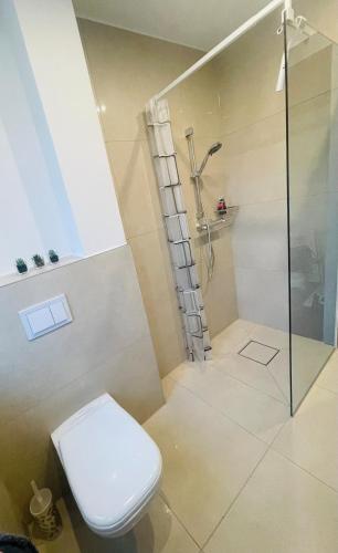 卫浴间, Ferien oder Messewohnung für 4 Personen (Ferien oder Messewohnung fur 4 Personen) in 萨尔斯特