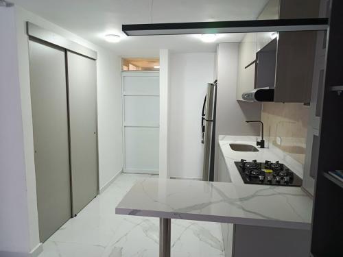 Búho, alameda del río, Barranquilla (fotografie 10)