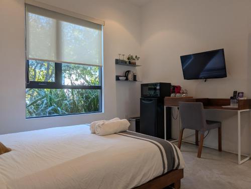 Luxury suite with private entrance, Los Angeles (fotografie 4)