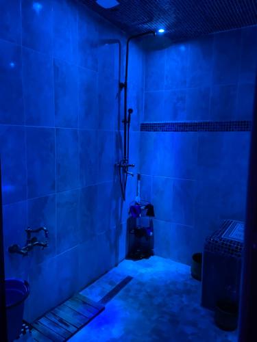 Le Golden Spa in Prunet