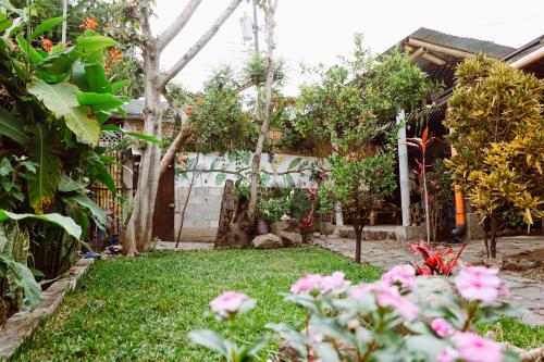 สวน, Casa Mike, San Marcos La Laguna in ซาน มาร์โกส ลา ลากูนา