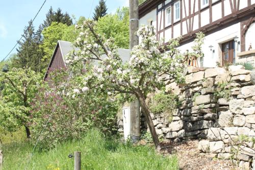 Vaade, Ferienwohnung Sonnenleithe Urlaub im Denkmal in Breitenbrunn/Erzgeb.