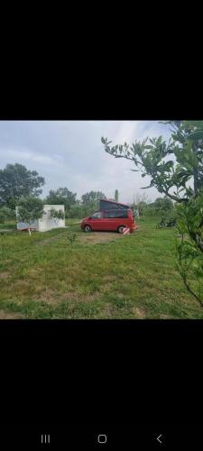 Guesthouse Kune - Vaini Guesthouse Kune - Vaini