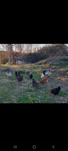 Guesthouse Kune - Vaini Guesthouse Kune - Vaini