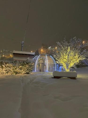 Cupola glamping dome Sarajevo - image 2