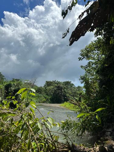 Glamping by the River, Puerto Jiménez (fotografie 4)