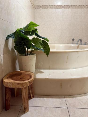 Luxury Villa w pool, ELEVATOR, ocean views, 5 mins to beach