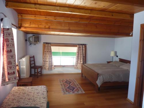 Tana Della Volpe - image 8