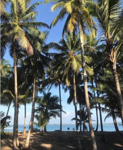 sunsetlodge Mentawai in Katurai