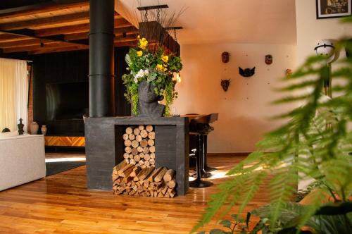 Chimenea, alberca climatizada y jacuzzi con vista al lago, Valle de Bravo (Foto 5)