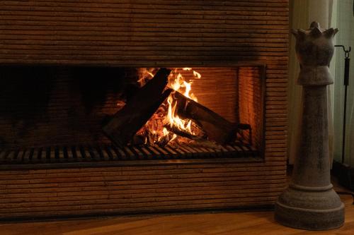 Chimenea, alberca climatizada y jacuzzi con vista al lago, Valle de Bravo (Foto 7)
