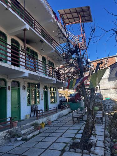 Jardin, Nomadic den manali  in Manali