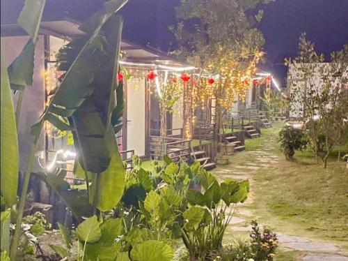 Homestay MOC CHAU ĐANG GIA