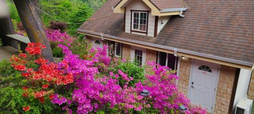 Wonju Sarichi Land in Forest Pension in ชินลิม-มย็อน