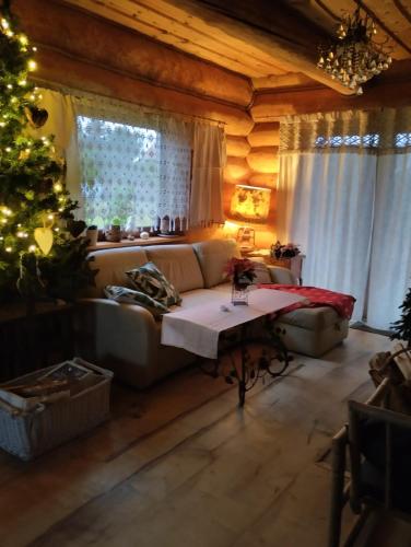 設施, Klimatyczny dom z bali in 波維茲