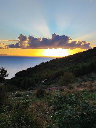 Kilátás, Kameni cvijet in Murvica