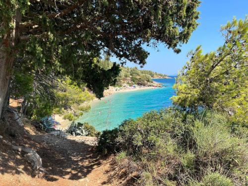 Strand, Kameni cvijet in Murvica
