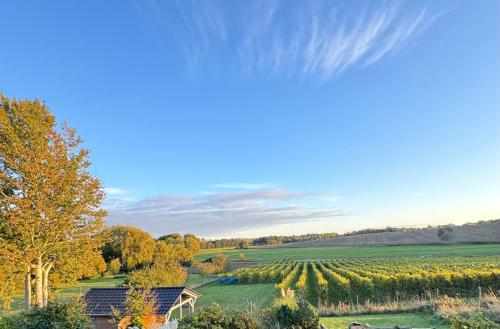 A környék, Landhaus Am Rebstock FeWo Anker in Lancken-Granitz