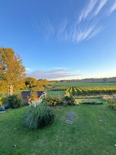 A környék, Landhaus Am Rebstock FeWo Anker in Lancken-Granitz