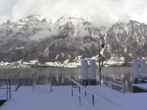 Switzerland Iseltwald Apartment - image 14