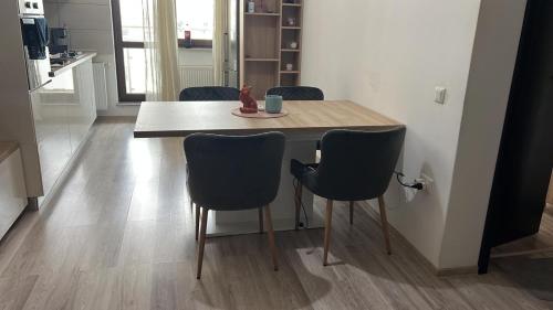 Palas luxury apartment - Location saisonnière - Iaşi