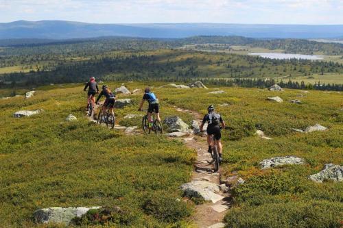 Modern cabin Hafjell high standard ski-in out in Oyer