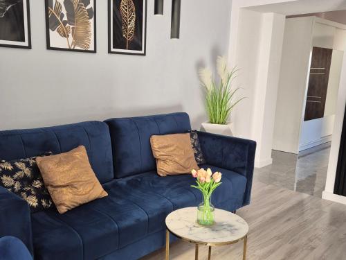 Apartament Mountains Góry Sowie