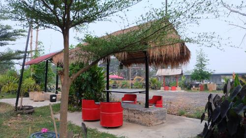 Surrounding environment, Check-In Resort in Mueang Chai Nat