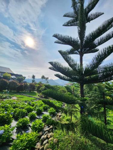 Coza Inn in パトノンゴン