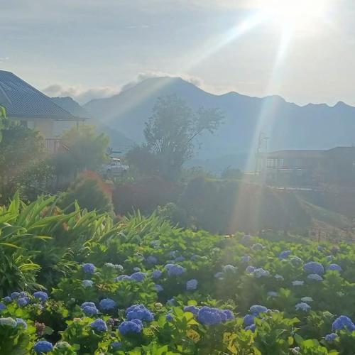 Coza Inn in パトノンゴン