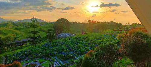 Coza Inn in パトノンゴン