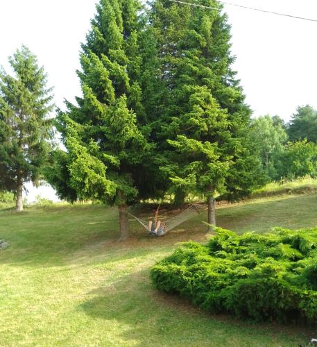 Apartmani Planinska kuća, Jagodnja (Apartmani Planinska kuca, Jagodnja) in Krupanj