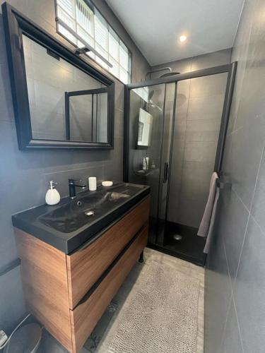 2 Bedroom Ocean Montagne view Apartment, Nizza (Foto 4)