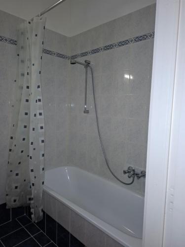 One-Bedroom Apartment image 6