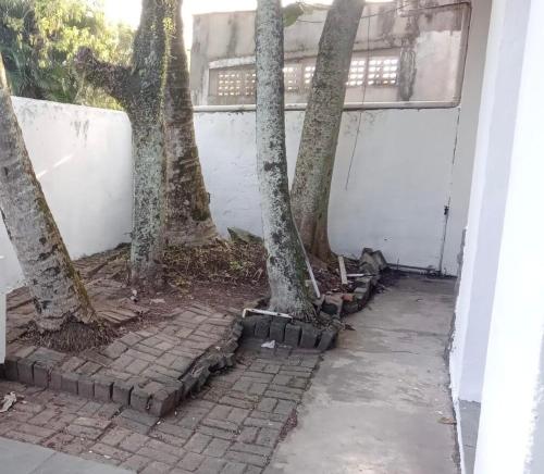 Cantinho da família Carvalho (Cantinho da familia Carvalho) in อิโวตี