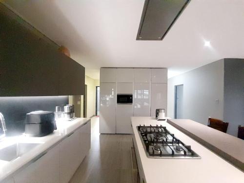 Dali in Kidd's Beach